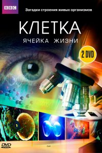 BBC: Клетка 1 сезон